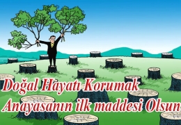 Anayasam�zda Do�al Hayat� Korumak 1. madde olsun