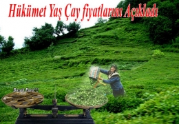 2012 Ya� �ay Fiyat� A��kland� 